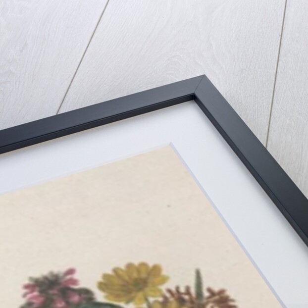 Purple and White Violets, Daisy, Celandine and Forget-me-not by Ursula Hodgson