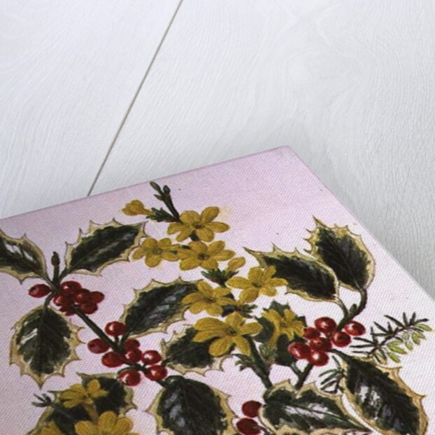 Holly, Winter Jasmine, Heath and Mistletoe by Ursula Hodgson