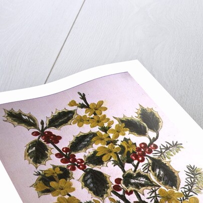 Holly, Winter Jasmine, Heath and Mistletoe by Ursula Hodgson