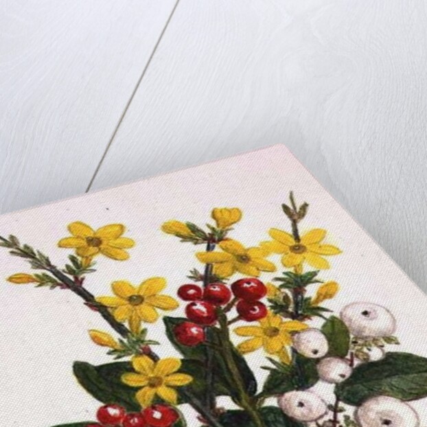 Snowberries, Dogwood and Jasmine by Ursula Hodgson
