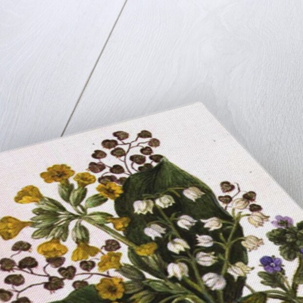 Lily of the Valley and Cowslips by Ursula Hodgson