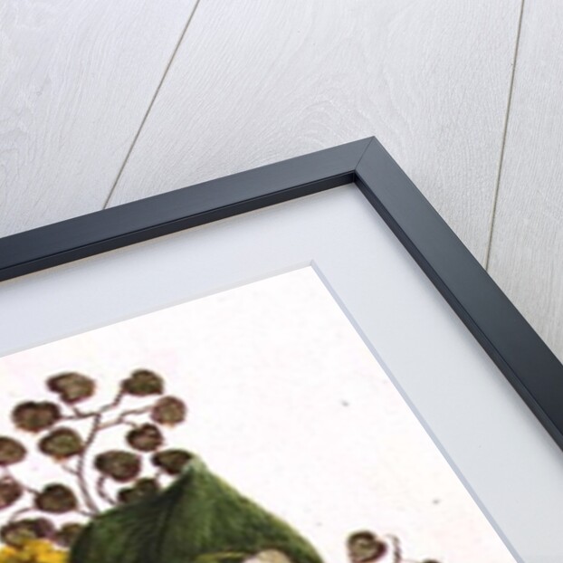 Lily of the Valley and Cowslips by Ursula Hodgson