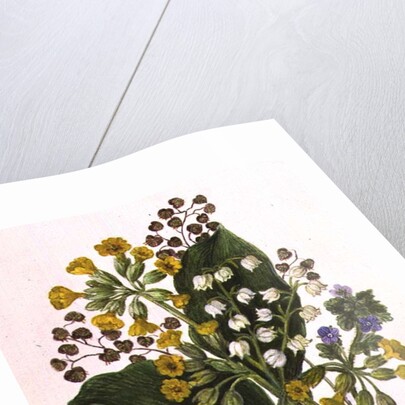 Lily of the Valley and Cowslips by Ursula Hodgson