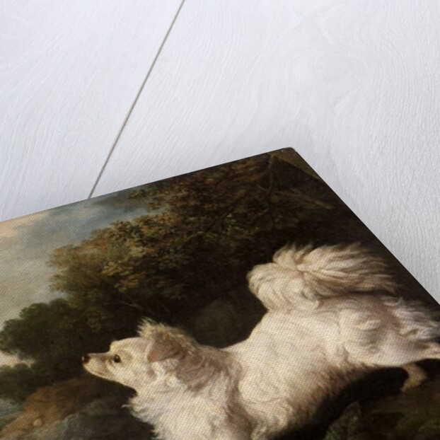 Spaniel belonging to painter Cosway chasing a butterfly, 1775 by George Stubbs