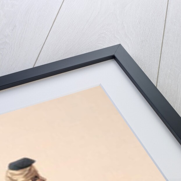 A Sweep, Ottoman period, third quarter of 18th century by Turkish School