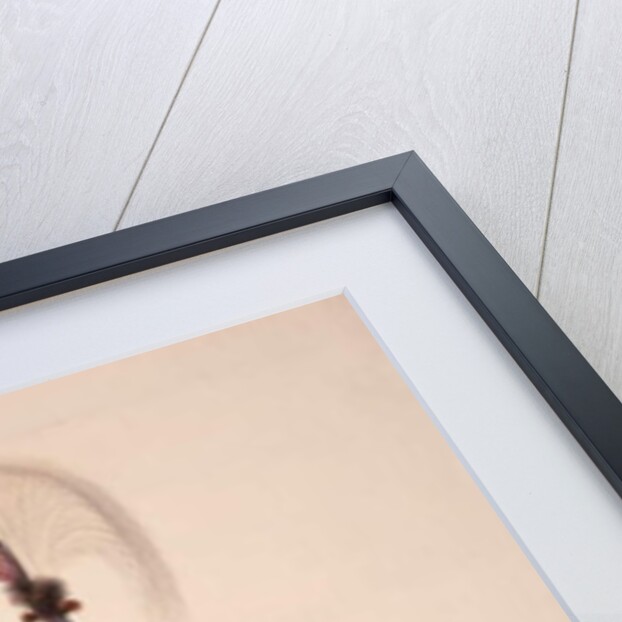 Master of Soup, Ottoman period, third quarter of 18th century by Turkish School