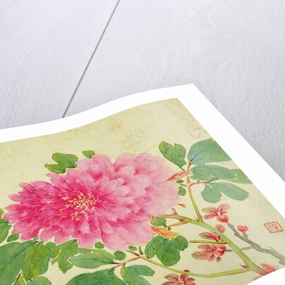 Painting of Peonies by Yu Jiang