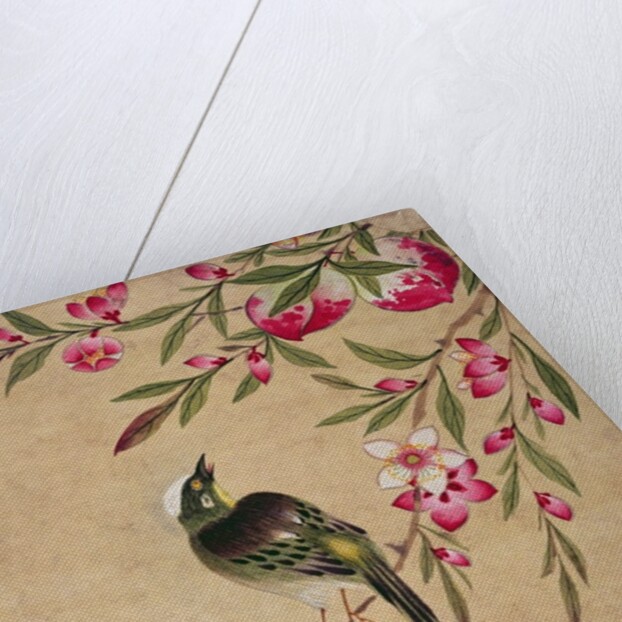 One of a series of paintings of birds and fruit, late 19th century by Guochen Wang