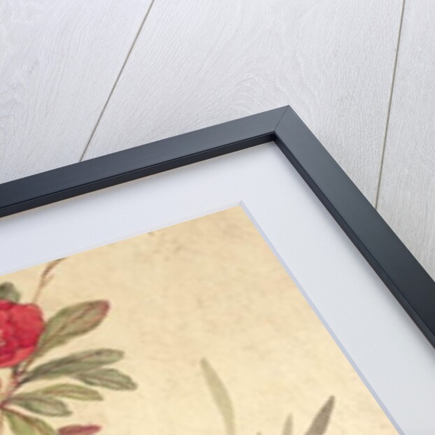 One of a series of paintings of birds and fruit, late 19th century by Guochen Wang