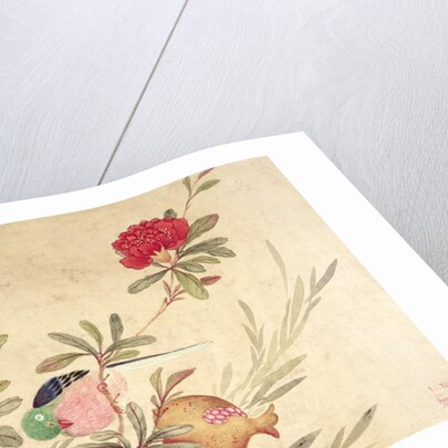 One of a series of paintings of birds and fruit, late 19th century by Guochen Wang