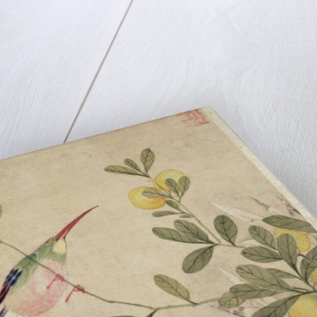 One of a series of paintings of birds and fruit, late 19th century by Guochen Wang