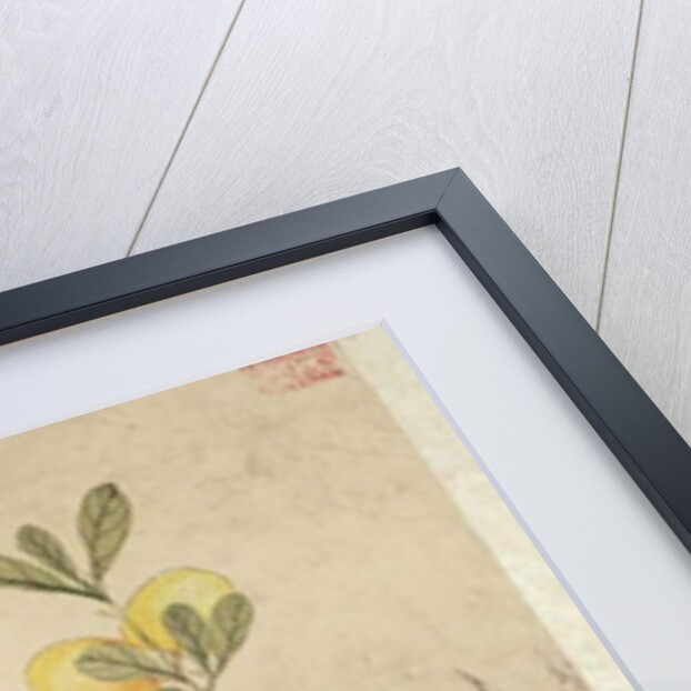 One of a series of paintings of birds and fruit, late 19th century by Guochen Wang