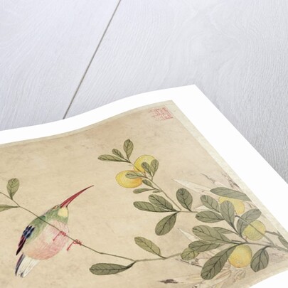One of a series of paintings of birds and fruit, late 19th century by Guochen Wang