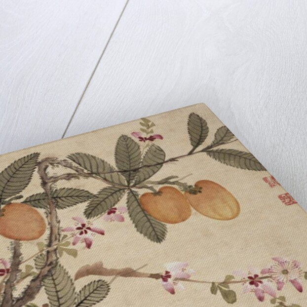 One of a series of paintings of birds and fruit, late 19th century by Guochen Wang