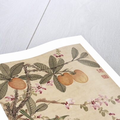 One of a series of paintings of birds and fruit, late 19th century by Guochen Wang