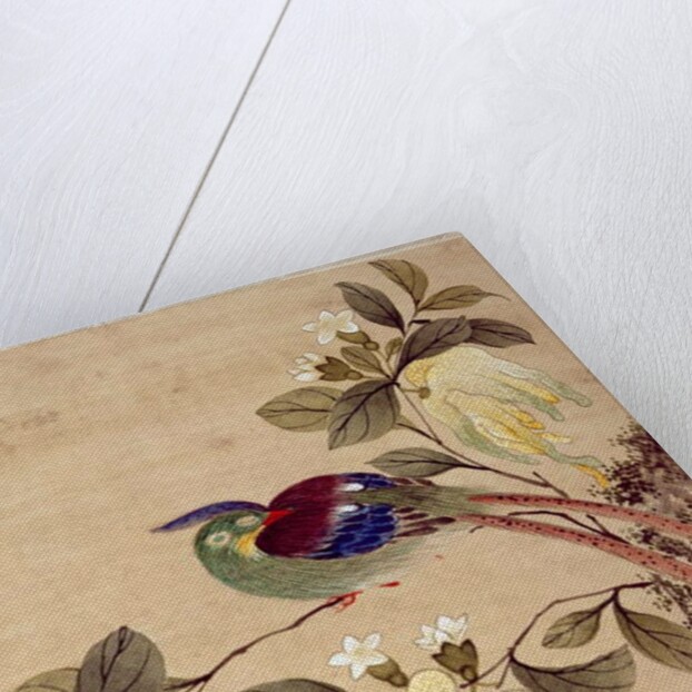 One of series of paintings of birds and fruit, late 19th century by Guochen Wang