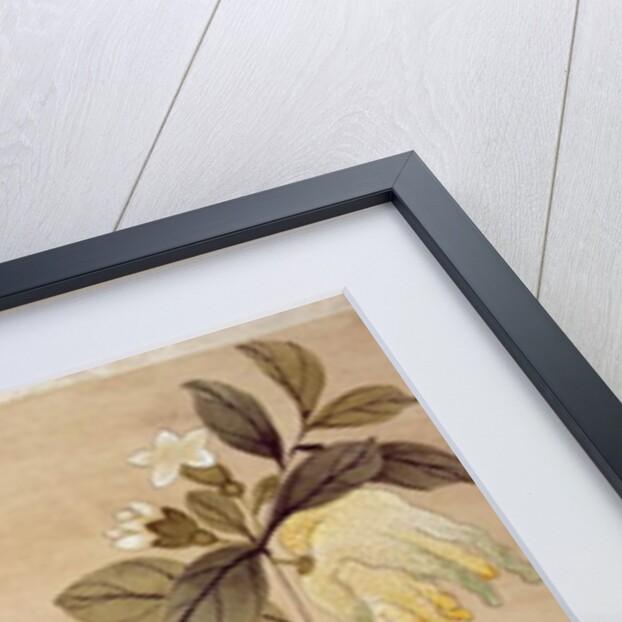 One of series of paintings of birds and fruit, late 19th century by Guochen Wang