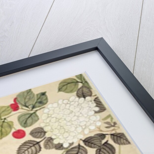 One of a series of paintings of birds and fruit, late 19th century by Guochen Wang