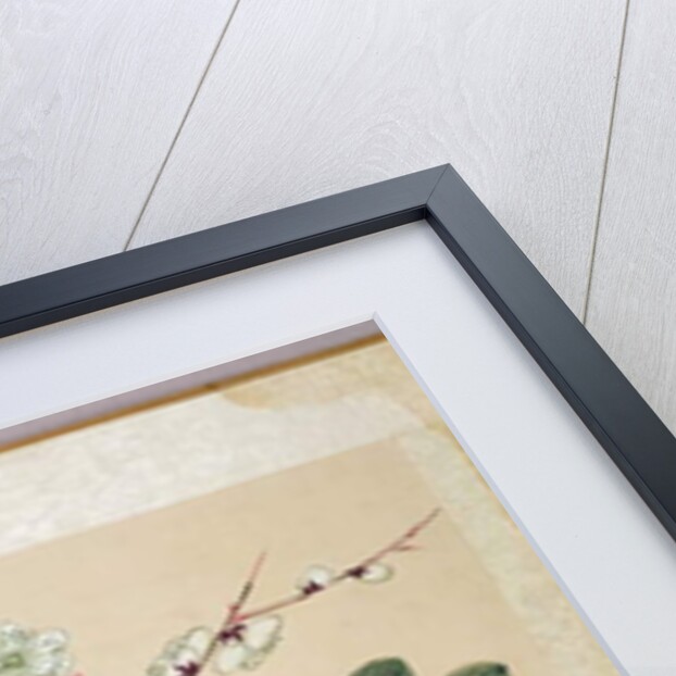 One of a series of paintings of flowers and insects, late 19th century by Hua Liu