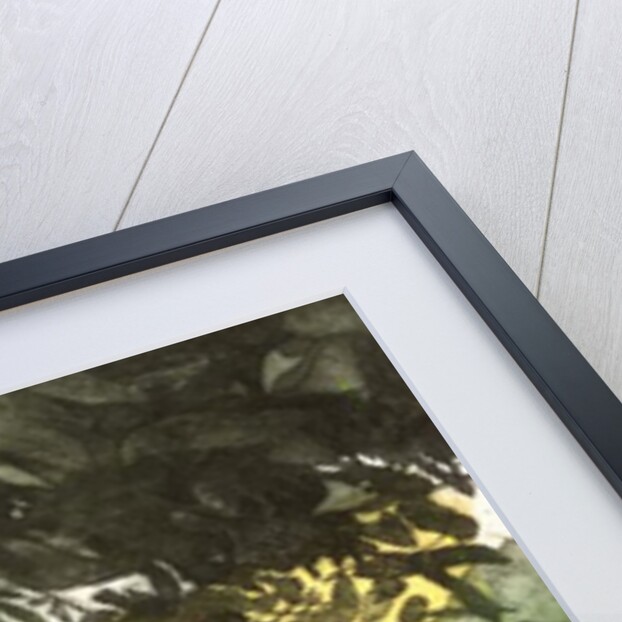 Summer Garden by Valerie Daniel