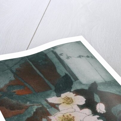 Christmas Roses by Valerie Daniel