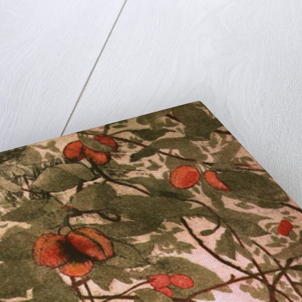 Plums by Valerie Daniel