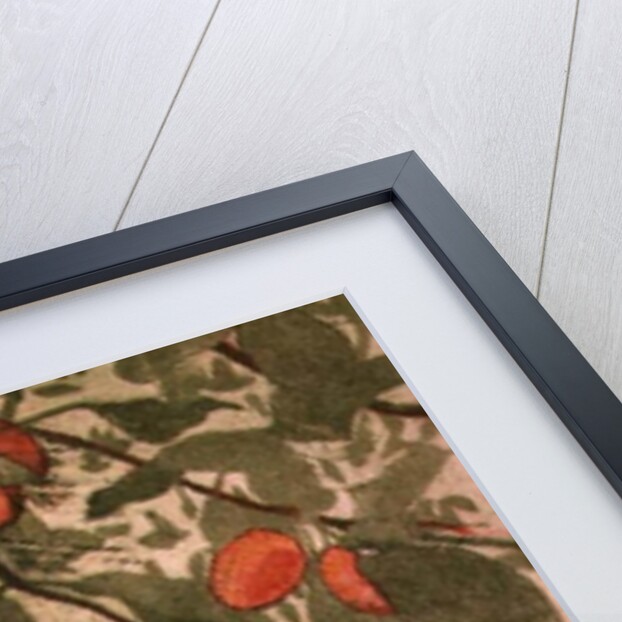 Plums by Valerie Daniel