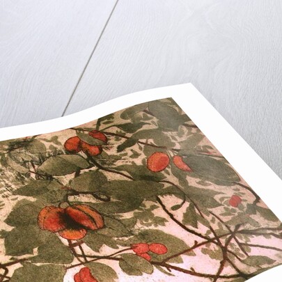 Plums by Valerie Daniel