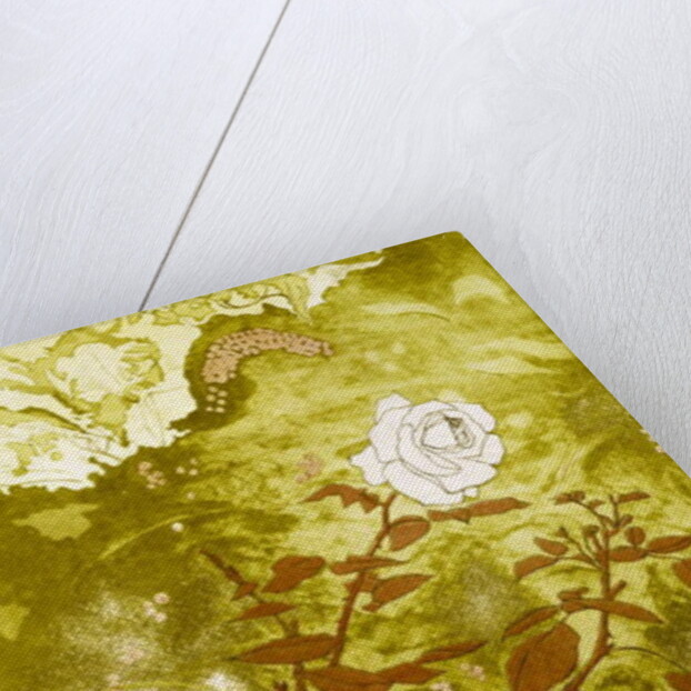 Rose by Valerie Daniel