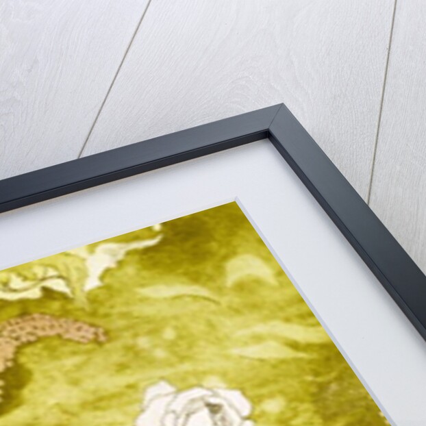 Rose by Valerie Daniel