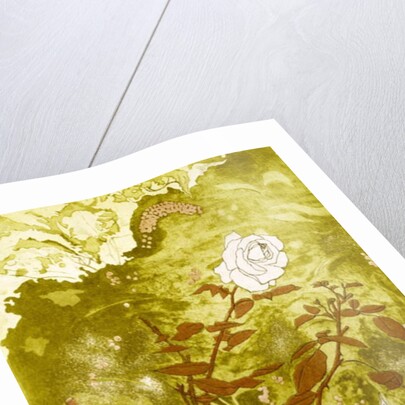 Rose by Valerie Daniel