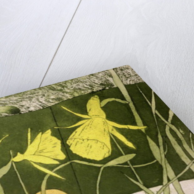 Daffodils by Valerie Daniel