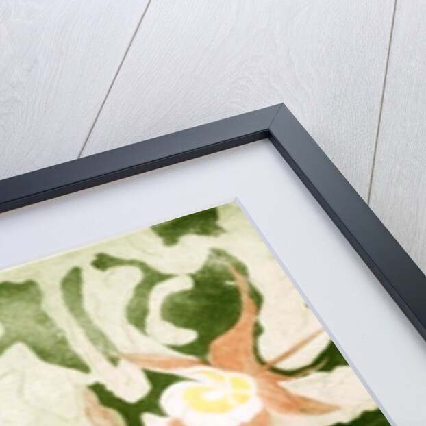 Columbines by Valerie Daniel