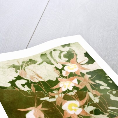 Columbines by Valerie Daniel