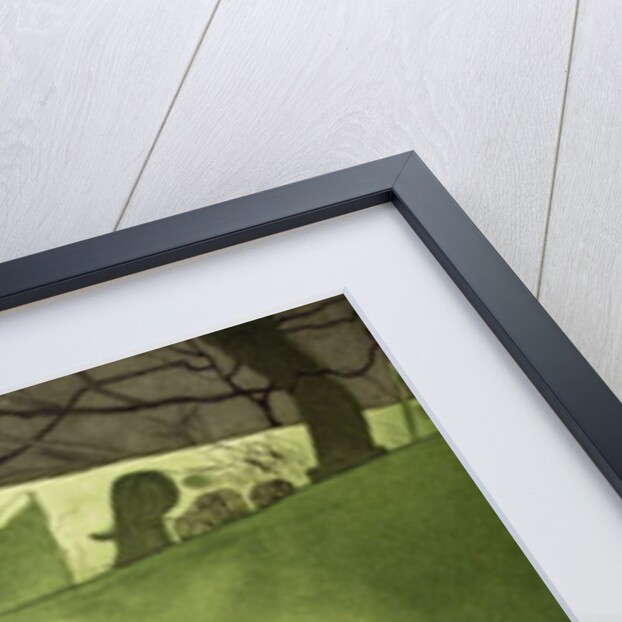 Crocus by Valerie Daniel