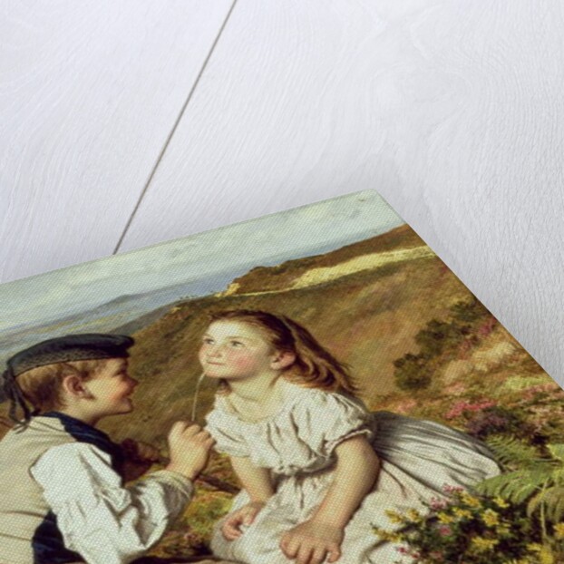 Touch and Go, to Laugh or No by Sophie Anderson