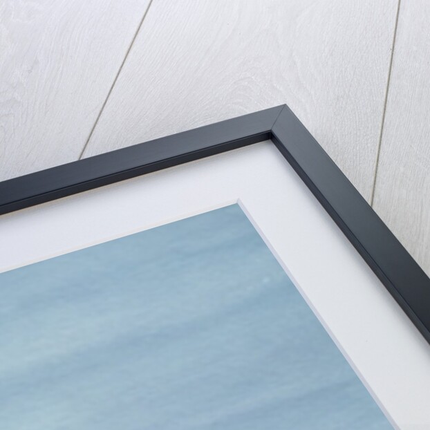 Hermitage Road in the Snow by Vic Trevett