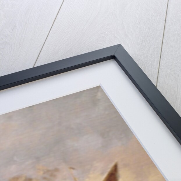 Past on the Medway by Vic Trevett