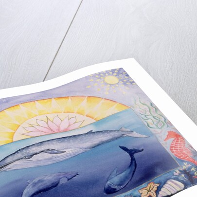 Whales by Vivika Alexander