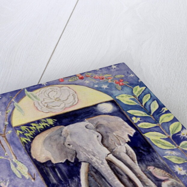 Ahmed by Vivika Alexander