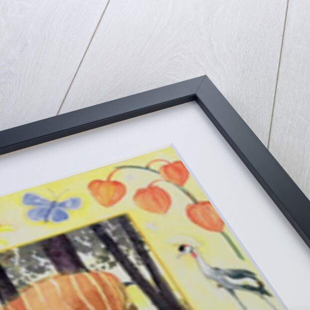 Bongo by Vivika Alexander