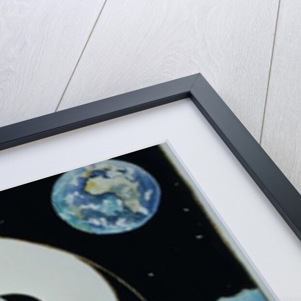 Dolphins by Vivika Alexander