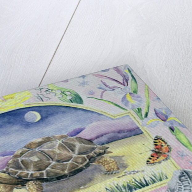 Giant Tortoise by Vivika Alexander