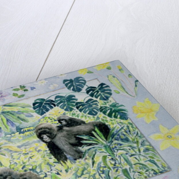 Mountain Gorillas by Vivika Alexander