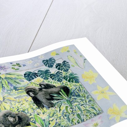 Mountain Gorillas by Vivika Alexander