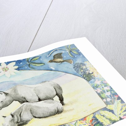 Rhino by Vivika Alexander