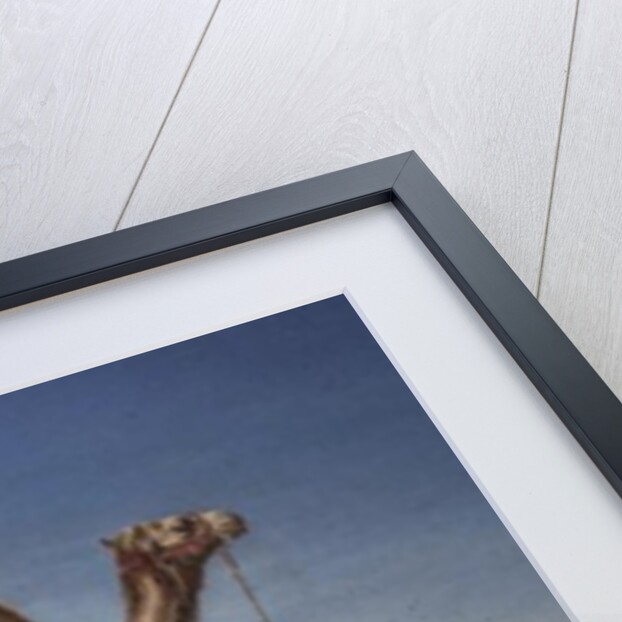 A Halt in the Desert, 1867 by William Snr. Luker