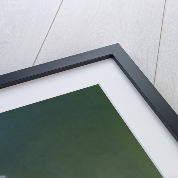 Mrs Pearce, 1786 by Francis Wheatley