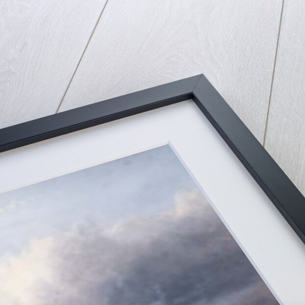 The Sick Lamb, 1853 by Richard Ansdell