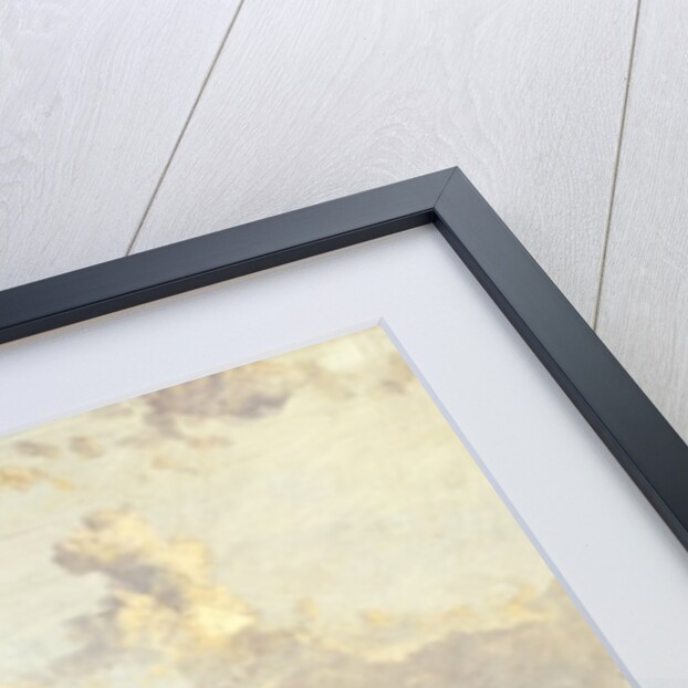 Ruins of the Roman Forum, 1859 by David Roberts